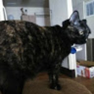 Meet your Posher, Noah